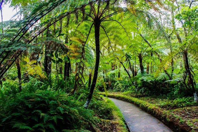 Hakgala Botanical Garden